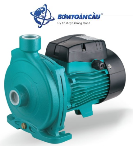 Máy bơm nước ly tâm Lepono ACm 110L