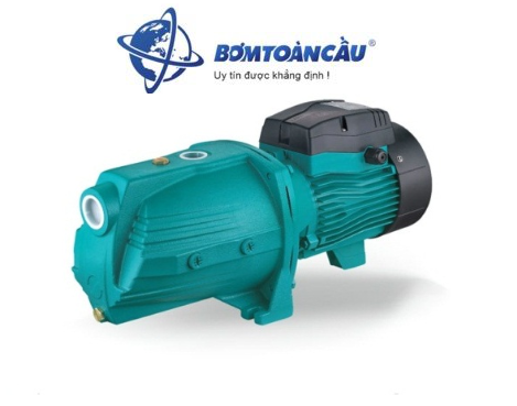 Máy bơm đầu lợn Lepono AJm 110L